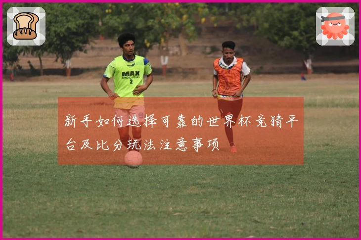 新手如何选择可靠的世界杯竞猜平台及比分玩法注意事项
