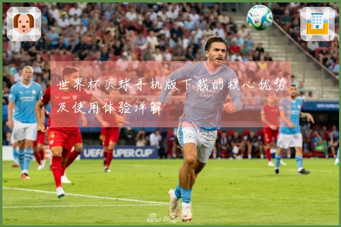 世界杯买球手机版下载的核心优势及使用体验详解