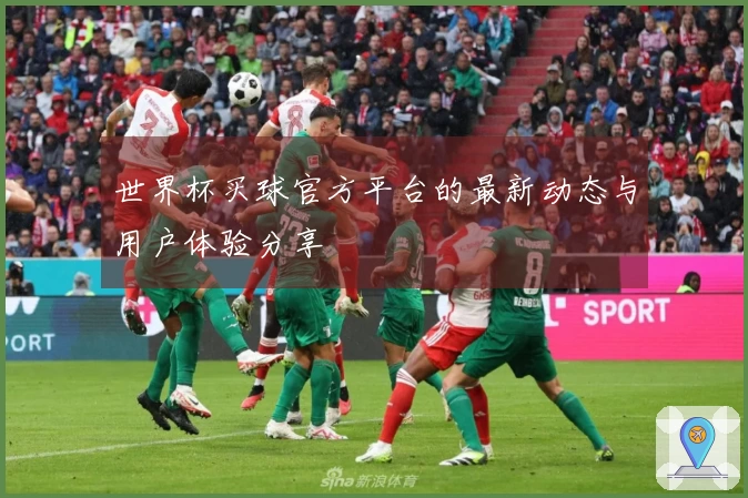 世界杯买球官方平台的最新动态与用户体验分享