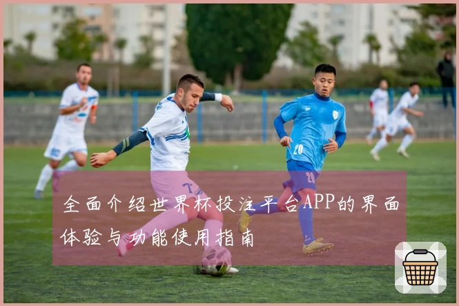 全面介绍世界杯投注平台APP的界面体验与功能使用指南