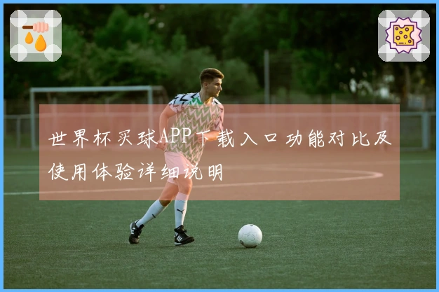 世界杯买球APP下载入口功能对比及使用体验详细说明