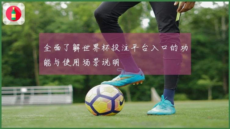 全面了解世界杯投注平台入口的功能与使用场景说明