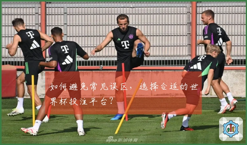 如何避免常见误区，选择合适的世界杯投注平台？