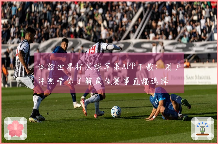 体验世界杯买球苹果APP下载:用户评测带你了解最佳赛事直播选择