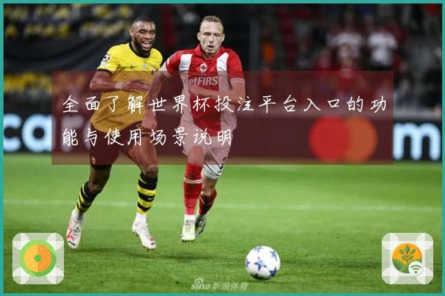 全面了解世界杯投注平台入口的功能与使用场景说明