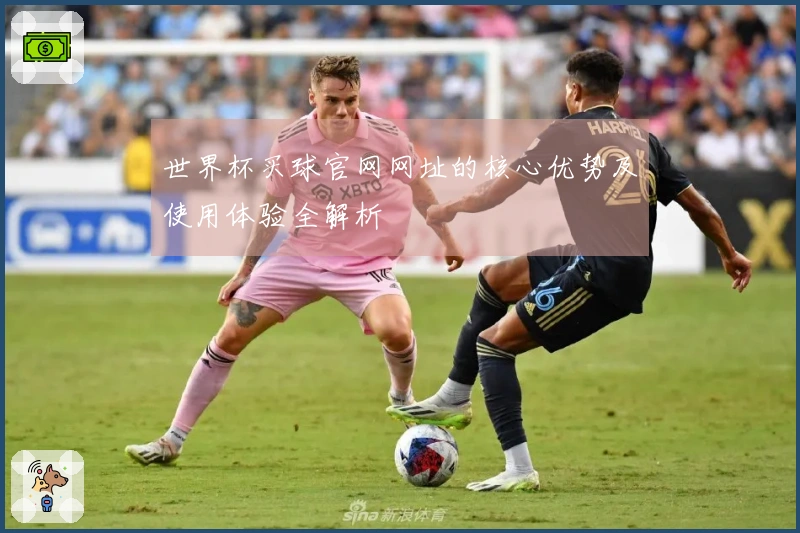 世界杯买球官网网址的核心优势及使用体验全解析