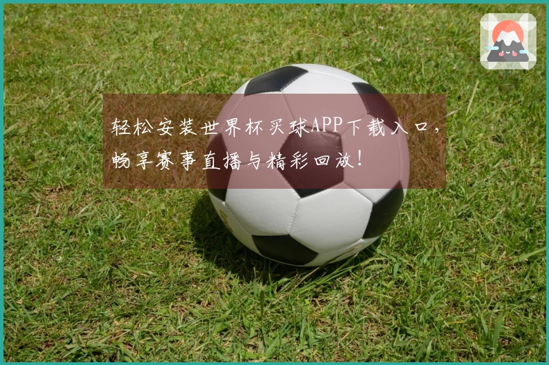 轻松安装世界杯买球APP下载入口，畅享赛事直播与精彩回放！