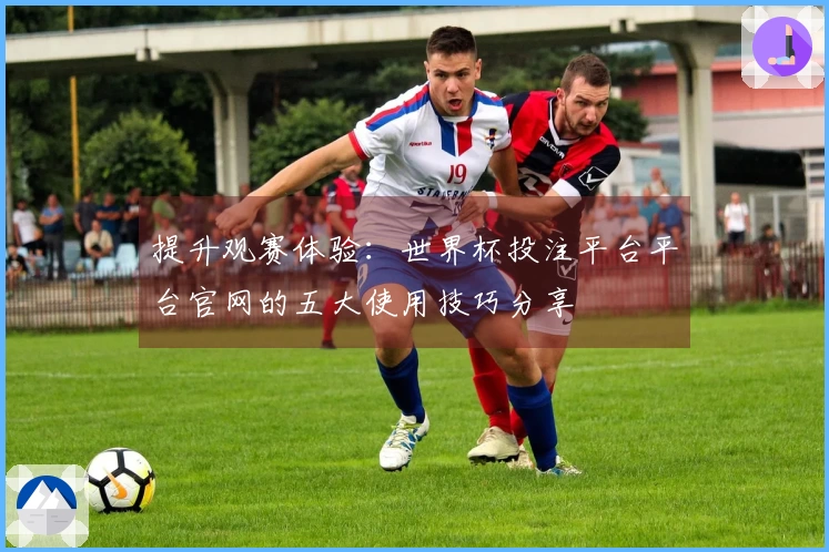 提升观赛体验：世界杯投注平台平台官网的五大使用技巧分享